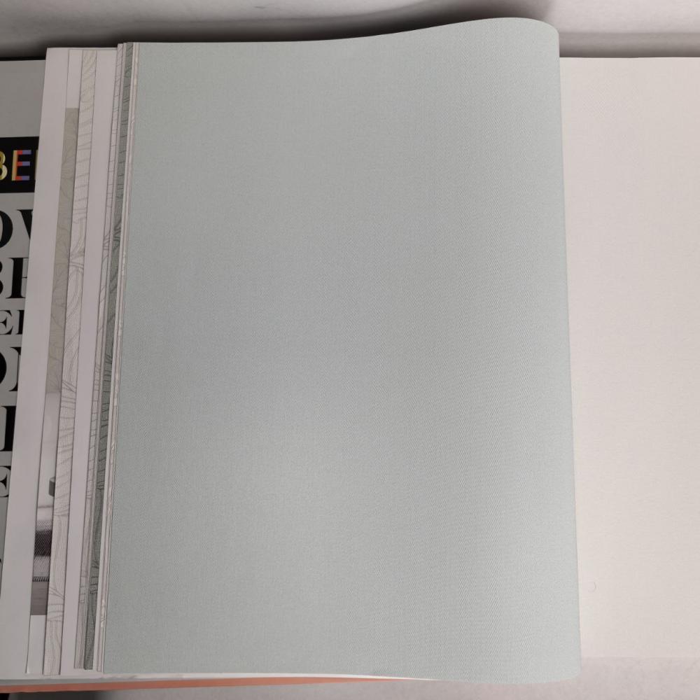 Andrea Rossi Berggi 54450-7