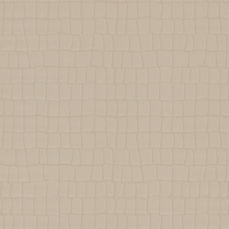 Zambaiti Parati Philipp Plein Z 80031