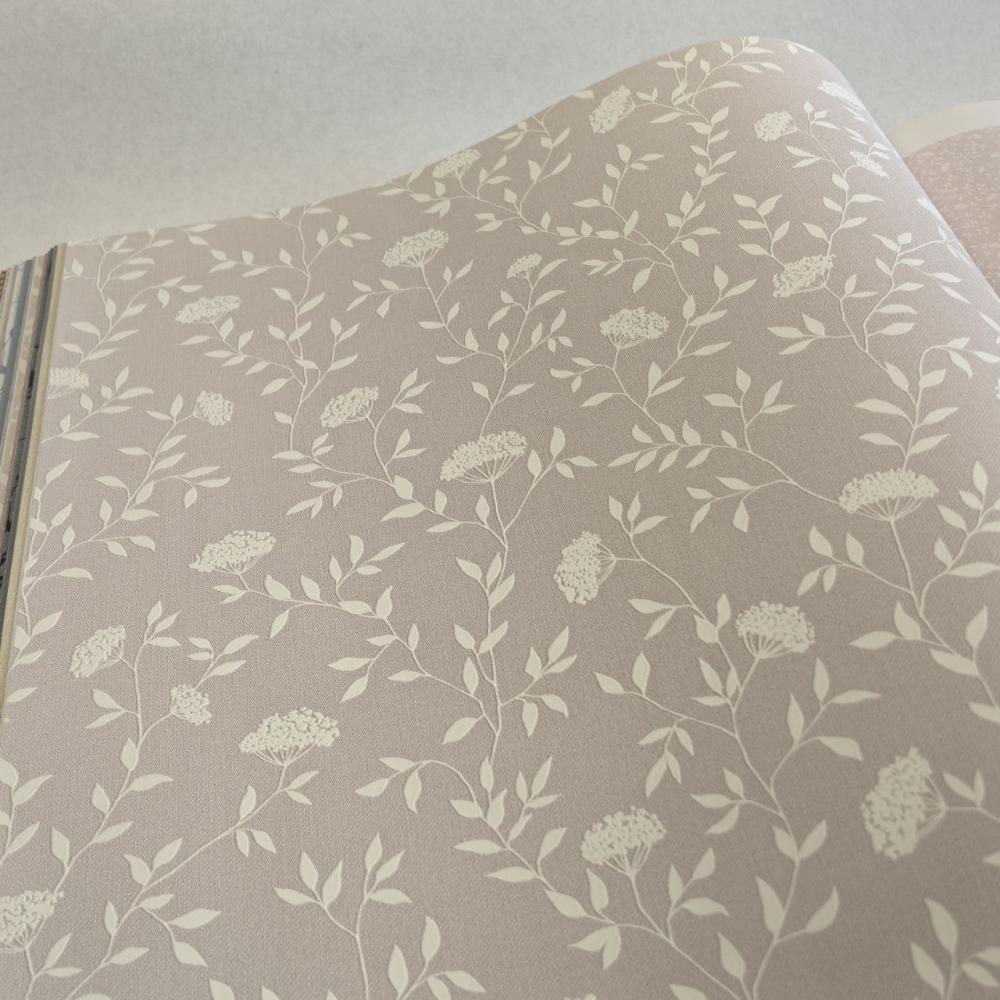 Andrea Rossi Spectrum Box 54456-10